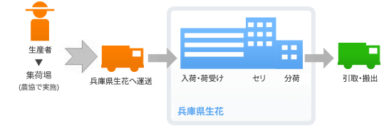 流通の流れ